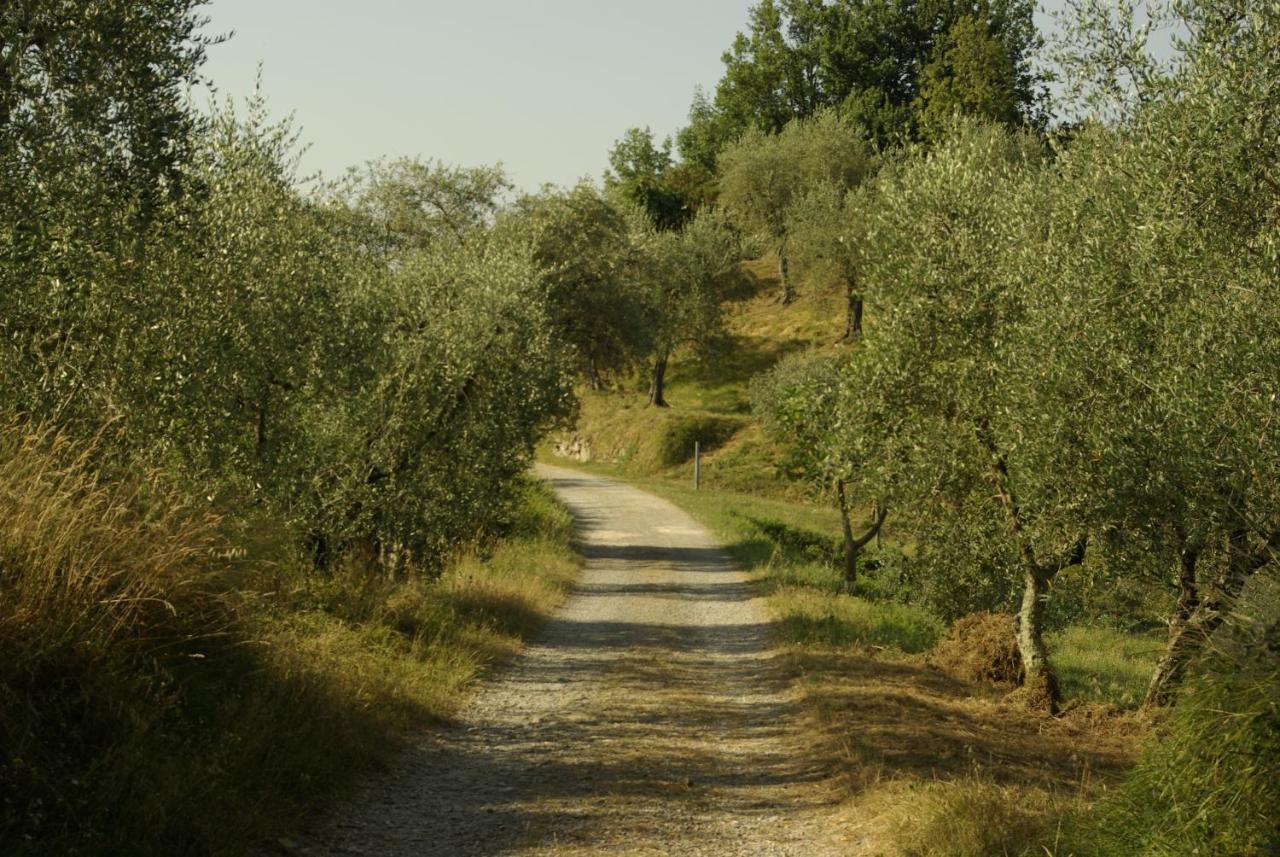 Aramo Verde Buitenkant foto